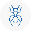 Ant Removals In Taunton