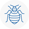 Bed Bug Extermination In Taunton