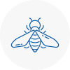 Bee Nest Removal Taunton