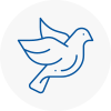 Bird Prevention Taunton