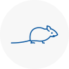 Mice Exterminators In Taunton