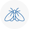 Moth Control Specialists In Taunton